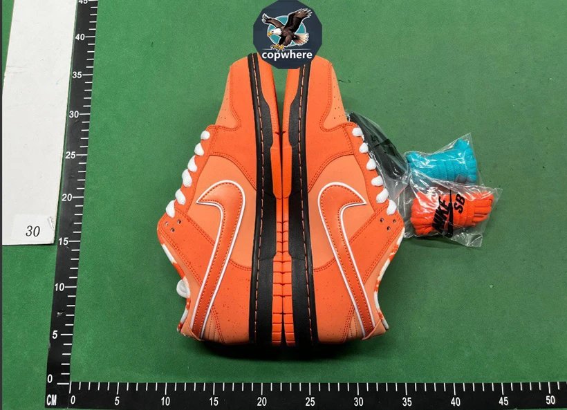 Nike Dunk & Concepts