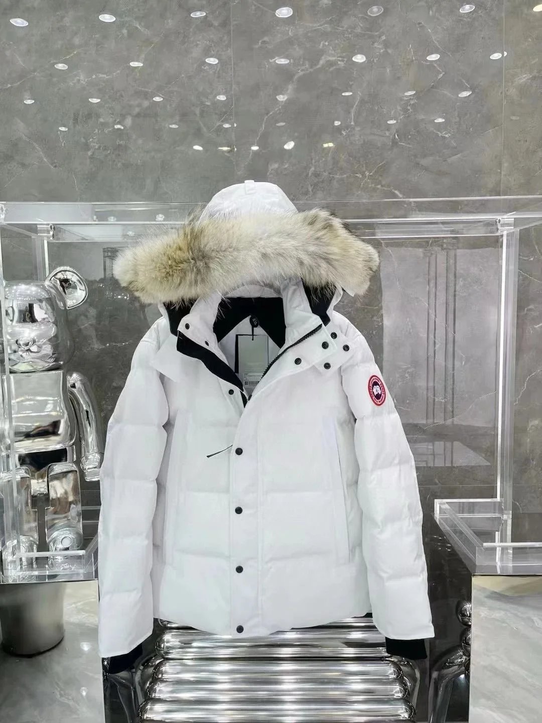 Moncler Down Jacket