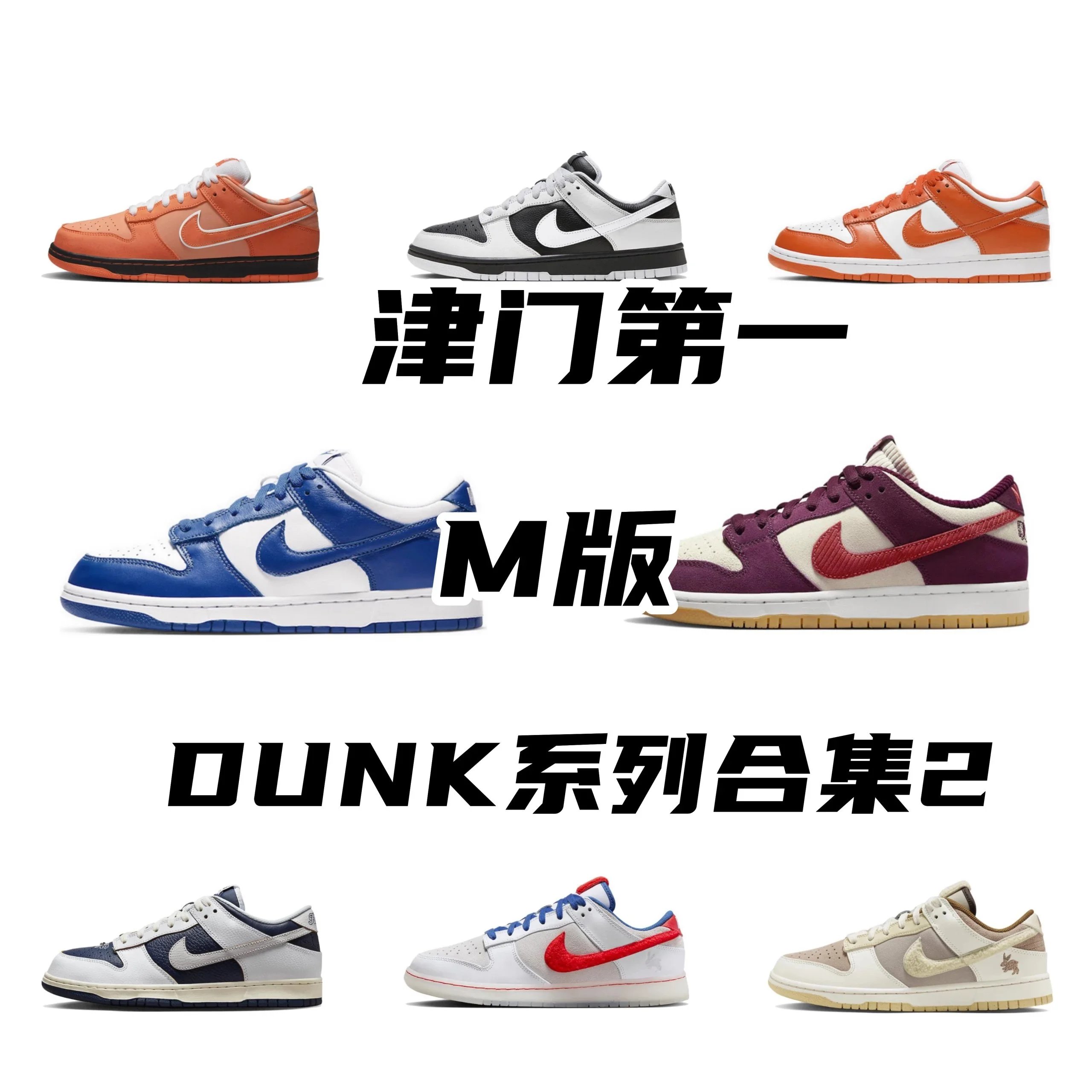Dunk series M-Batch